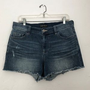Stretch Raw Hem Denim Shorts